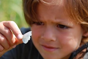 cute boy holding a butterfly